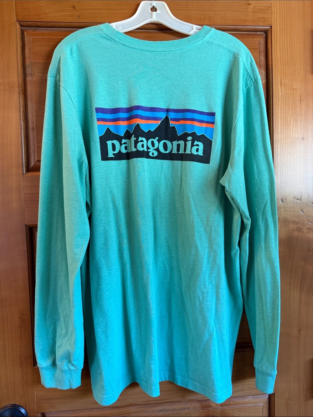 Patagonia Teal/Seafoam Long Sleeve Crewneck Shirt